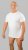 20 Nodi Mezzogiorno Sports T-Shirt White - Тениски - мъжки тениски големи размери