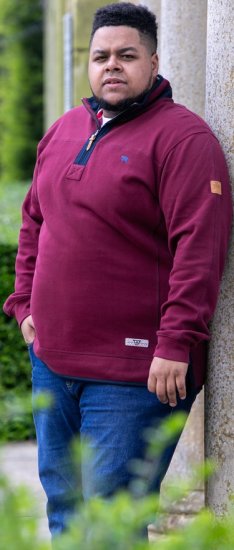 D555 HIRALDO Quarter Neck Pique Fleece Sweatshirt With Chest Embroidery Red - Суичъри & cуичъри с качулка - мъжки суичъри големи размери