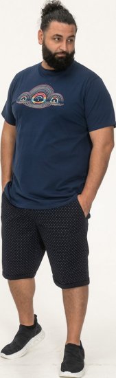 D555 Cheltenham Record With Reflection Printed T-shirt French Navy - Тениски - мъжки тениски големи размери