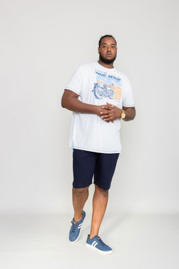 D555 LANGDON Printed T-Shirt - Тениски - мъжки тениски големи размери