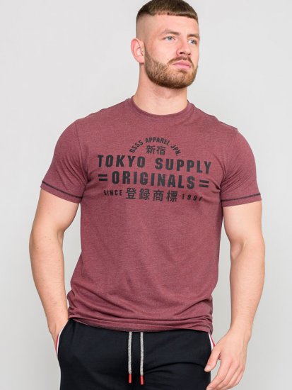 D555 LINTON Printed T-Shirt - Тениски - мъжки тениски големи размери