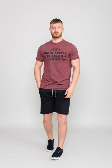 D555 LINTON Printed T-Shirt - Тениски - мъжки тениски големи размери