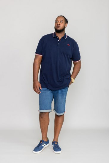 D555 STANBRIDGE Polo Shirt - Поло тениски - мъжки тениски с яка големи размери