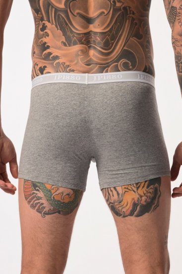 JP1880 Boxershorts Flexnamic OEKO-TEX Mid 2-Pack Grey/Off-White - Бельо & Бански шорти - Мъжко бельо големи размери