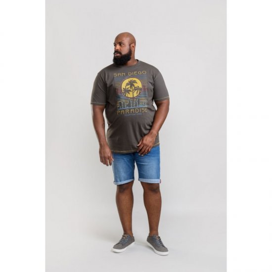 D555 Stanley T-shirt Khaki - Тениски - мъжки тениски големи размери