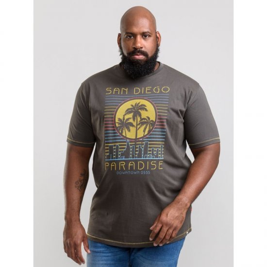 D555 Stanley T-shirt Khaki - Тениски - мъжки тениски големи размери