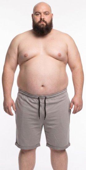 20 Nodi Bora Спортни къси панталони Сиво - Спортни панталони & Kъси панталони - мъжки спортни панталони големи размери