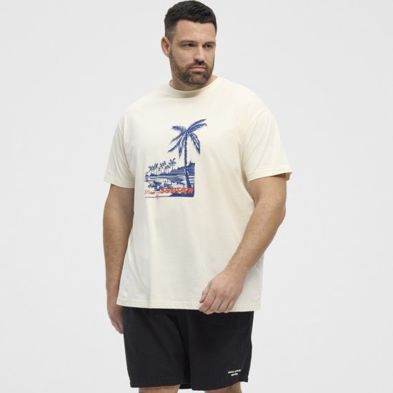 North Latitude T-Shirt Printed Off-White - Тениски - мъжки тениски големи размери