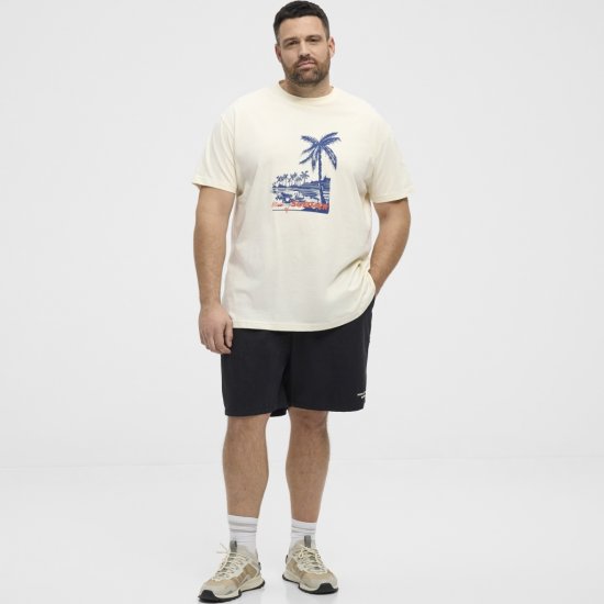 North Latitude T-Shirt Printed Off-White - Тениски - мъжки тениски големи размери