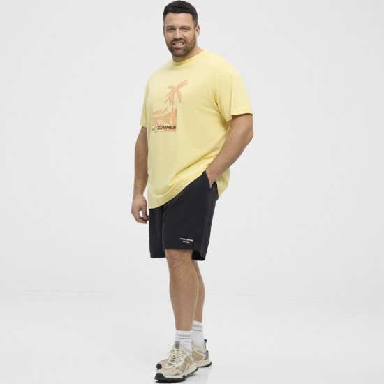 North Latitude T-Shirt Printed Yellow - Тениски - мъжки тениски големи размери